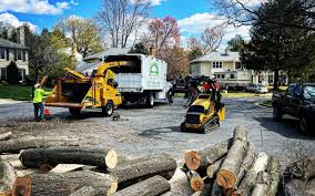 Best Tree Preservation Services  in Yoakum, TX